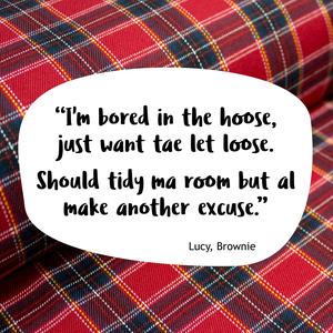 Text on white bubble with tartan background: "I'm bored in the hoose, just want tae let loose..."